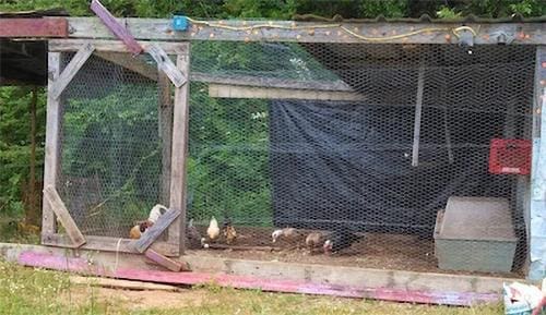 Five Ways Our Life is Better Living Off The Grid