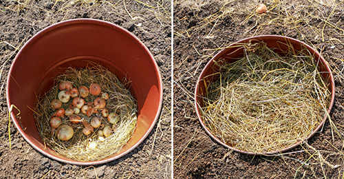 How To Make A Mini Root Cellar In Your Backyard In Less Than Two Hours