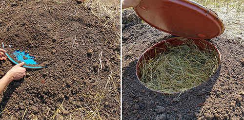 How To Make A Mini Root Cellar In Your Backyard In Less Than Two Hours