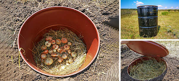 How To Make A Mini Root Cellar In Your Backyard In Less Than Two Hours