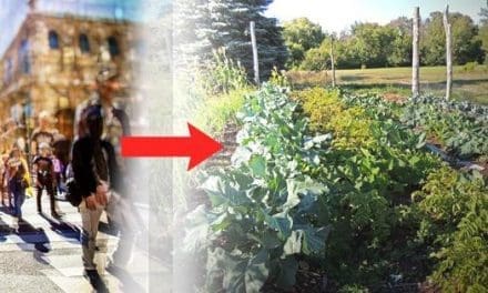 Urbanites Moving To Rural Paradise Ruining It For The Locals