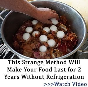 This strange method will make your food last for 2 years without refrigeration
