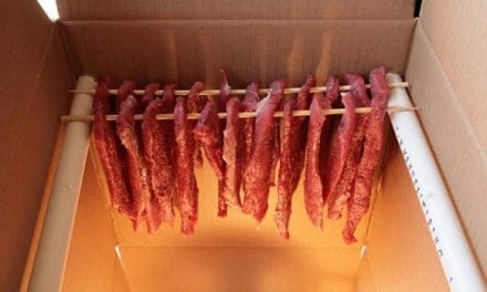 The 10-Dollar Jerky Maker