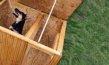 Easy DIY Winter Doghouse