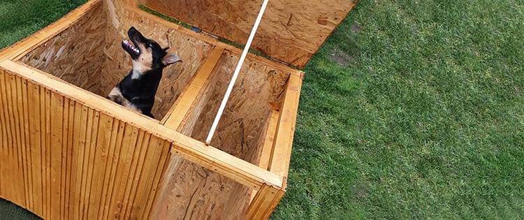 Easy DIY Winter Doghouse