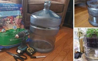 How To Make A Self-Watering Planter From A Water Bottle