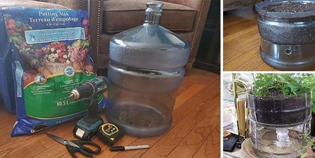 How To Make A Self-Watering Planter From A Water Bottle