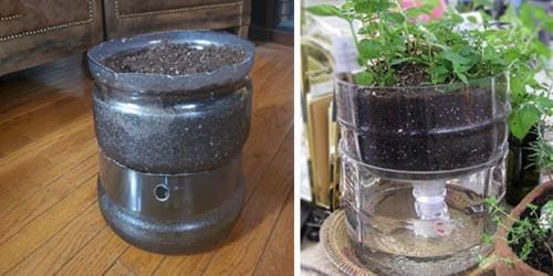 How To Make A Self-Watering Planter From A Water Bottle - final product