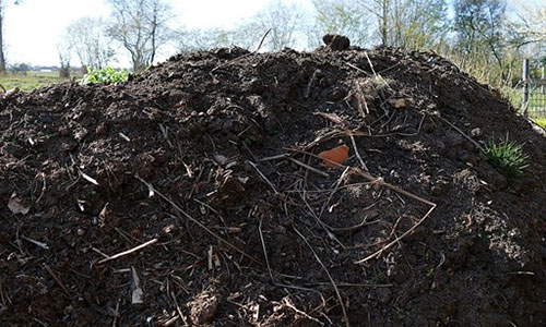 the ultimate guide to composting