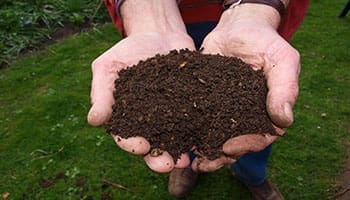 the ultimate guide to composting