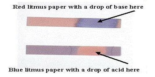 How to Adjust the pH in Soil and Water for Abundant Harvests