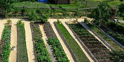 proper crop arrangement