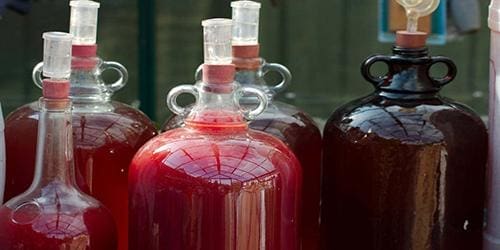 Using garden harvest to make wines