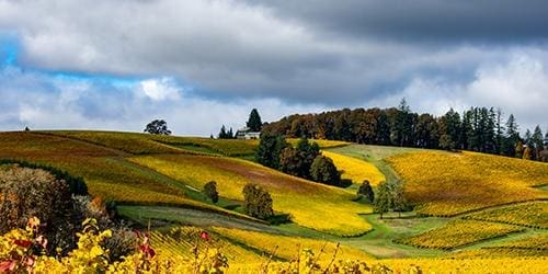 Best States for Homesteading - Oregon