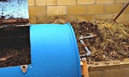 The Ultimate Guide To Composting