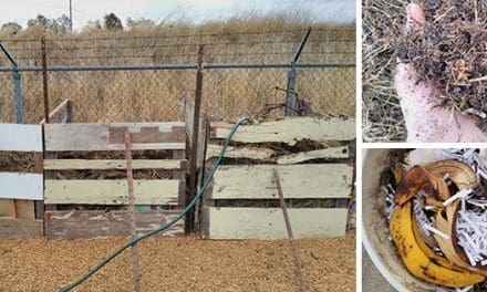 Boost Your Soil Quality With This Compost