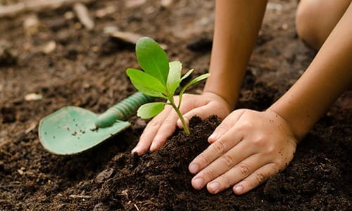 child planting seeds