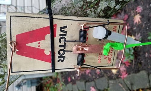 The Best DIY Traps Against Property Intruders