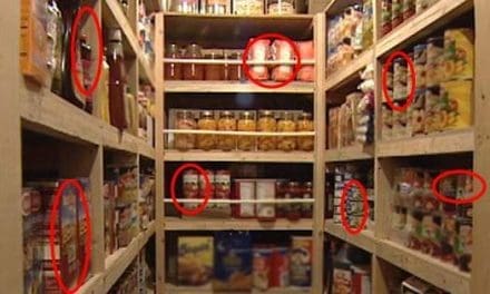 What We Learned Living on Our Food Storage for a Month