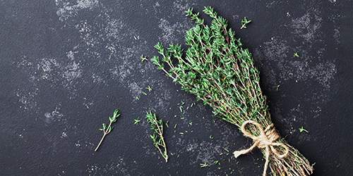 10 Cooking Herbs You Should Grow In Your Garden - thyme