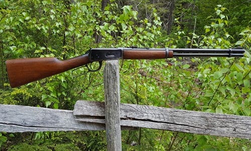 6 Best Guns To Have Around Your Homestead