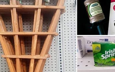 21 Gardening Items You Should Get From the Dollar Store