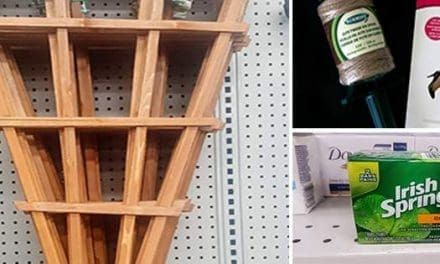 21 Gardening Items You Should Get From the Dollar Store