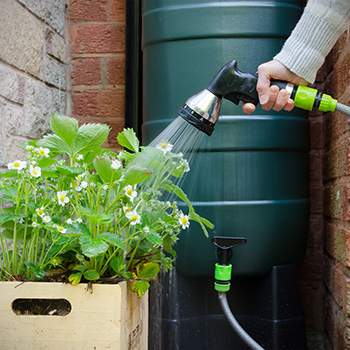 Is It Legal To Harvest Rainwater In Your State? - watering plants