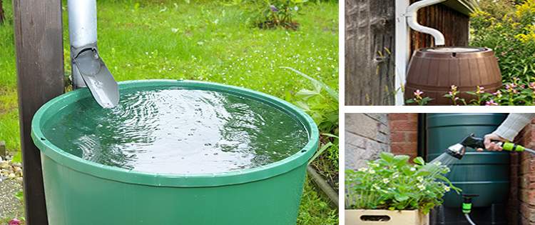 Is It Legal To Harvest Rainwater In Your State?