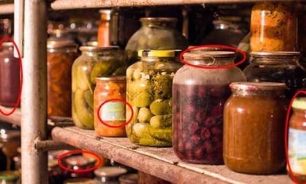 11 Food Storage Myths