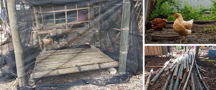 How to Build a Chicken Coop With $50 In One Hour
