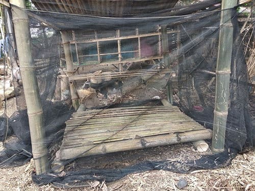 How to Build a Chicken Coop Step 10