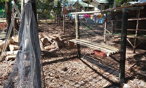 How to Build a Chicken Coop Step 8