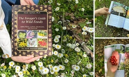 The Forager’s Guide To Wild Foods: Book Review