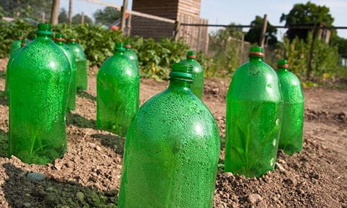 ingenious plastic bottles