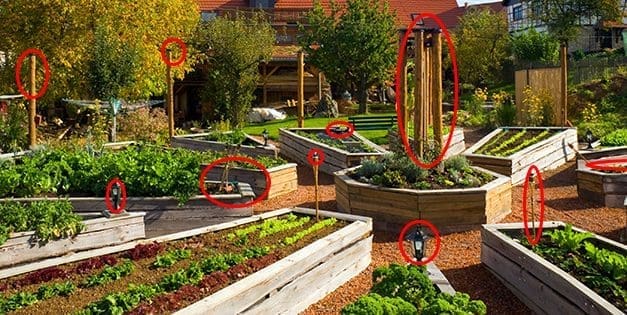 10 Ways to Sow Revolution in Your Backyard (and Why You MUST Go to Battle)