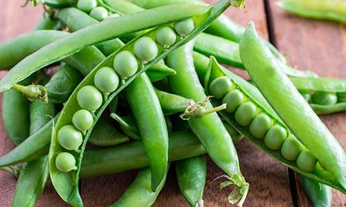 5 vegetables that are too easy to grow