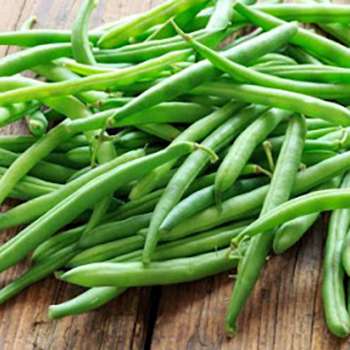 Survival garden crops - beans