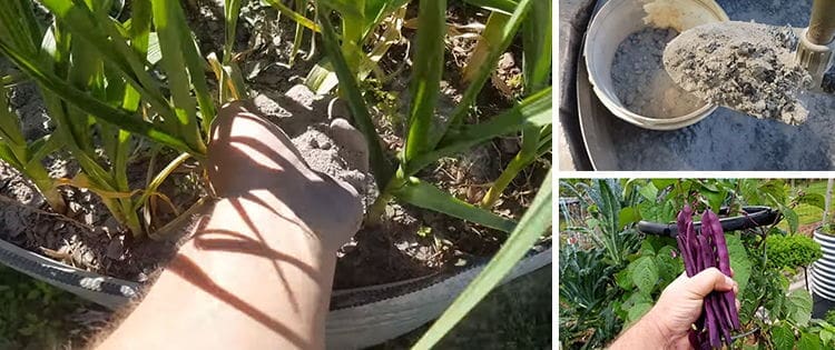 What Happens If You Ash Your Garden