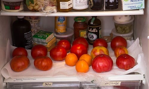mistakes for storing food