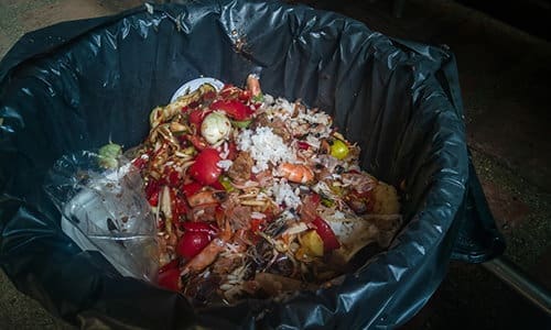 mistakes for storing food