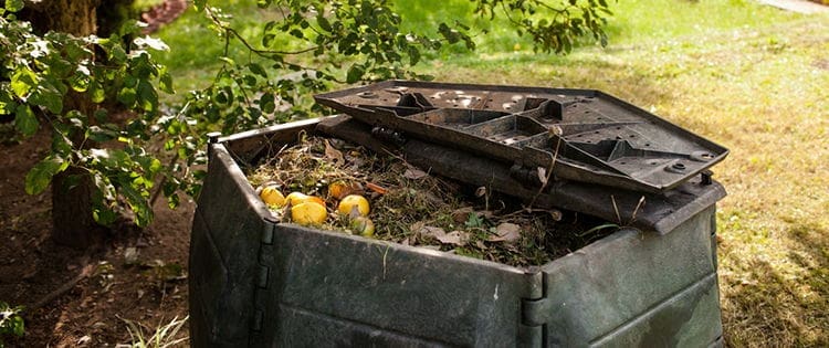 39 Items You Can Compost