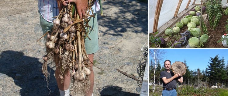 Vegetable Independence – 100%  Self-Reliant Vegetable Production