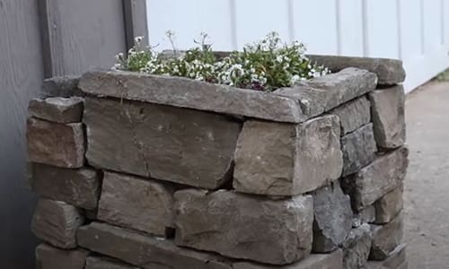 ingenious projects for backyard