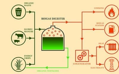 A Homesteader’s Guide to Biogas as an Alternative Fuel