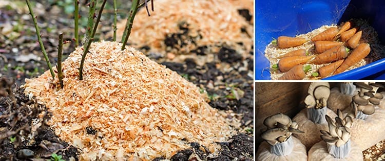 40 Uses For Sawdust Around Your Homestead