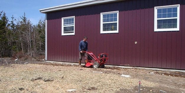 Homesteading Dollars And Sense