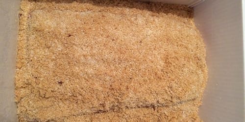 Makin’ Bacon: How to Dry Cure Pork Belly