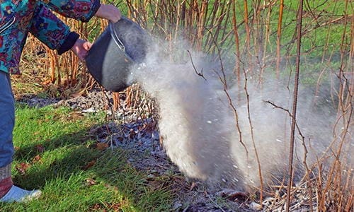 charcoil for soil preparation