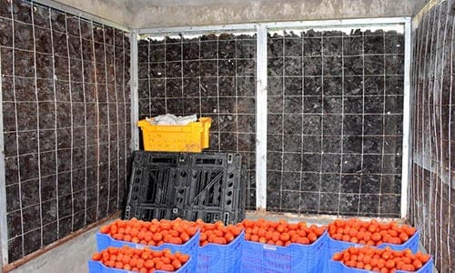 Using charcoal for your fridge